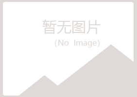 盐池县翠容化学有限公司